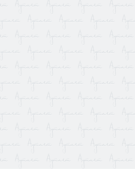 Купить AMAZON Summer mix#20 кг оптом в Иркутске и Иркутской области