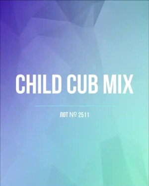 Купить CUBUS детский микс лето (Children CUBUS mix)#15 кг, ЛОТ №2511 оптом в Иркутске и Иркутской области