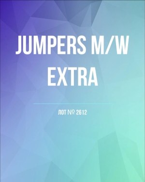 Купить Джемпер муж+жен экстра#15 кг , Лот№2612 оптом в Иркутске и Иркутской области