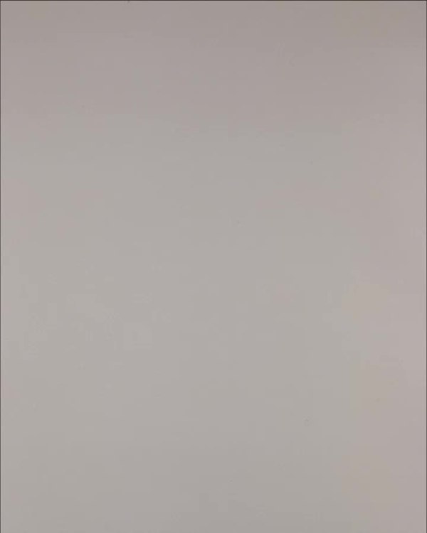 Фотография  568 - Нижнее белье Bon Prix дети#50 шт, ЛОТ №3242 оптом в Иркутске и Иркутской области