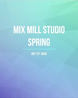 Купить MILL STUDIO Spring mix#15 кг, ЛОТ №3650 оптом в Иркутске и Иркутской области