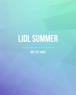 Купить LIDL Summer#20 кг, ЛОТ №4003 оптом в Иркутске и Иркутской области