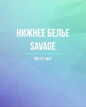 Купить Нижнее белье Savage#50 шт, ЛОТ №4037 оптом в Иркутске и Иркутской области