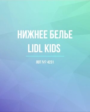 Купить Нижнее белье LIDL Kids#5 кг, ЛОТ №4231 оптом в Иркутске и Иркутской области