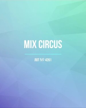 Купить CIRCUS mix #13 кг, ЛОТ №4261 оптом в Иркутске и Иркутской области