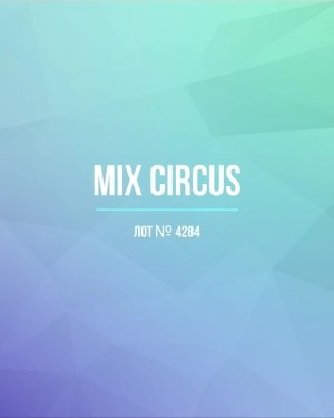 Купить CIRCUS mix #11,8 кг, ЛОТ №4284 оптом в Иркутске и Иркутской области