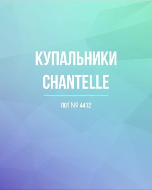 Купить Купальники Chantelle#23 шт, ЛОТ №4412 оптом в Иркутске и Иркутской области