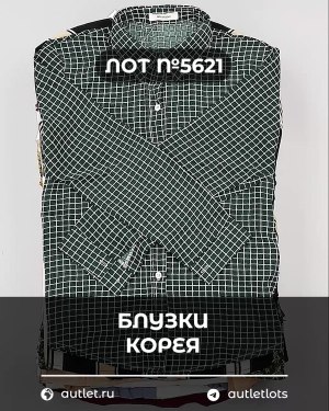 Купить Блузки Корея#20 шт, ЛОТ №5621 оптом в Иркутске и Иркутской области