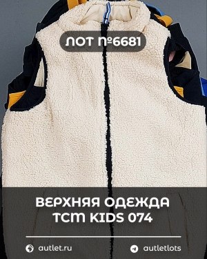Купить Верхняя одежда TCM kids 074#7 кг, ЛОТ №6681 оптом в Иркутске и Иркутской области