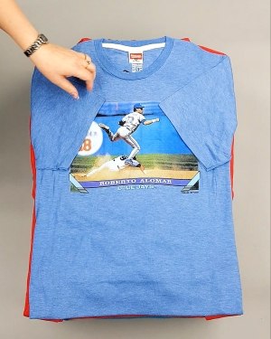 Фотография  991 - HOMAGE CAN 084#10 кг, ЛОТ №7499 оптом в Иркутске и Иркутской области